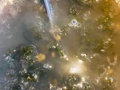 -盐帮食坊•小河帮川菜(四川师大店)