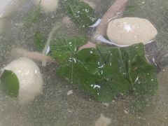 -罗浮山·罗园农庄