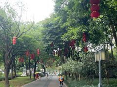 -顺峰山公园