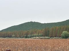 -云龙湖旅游景区