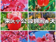 -大宁公园