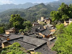-杨家堂村