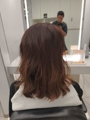 点击看大图 -京世沙龙