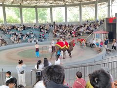 -石家庄市动物园