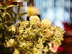 -花城苑广府菜(侨鑫店)