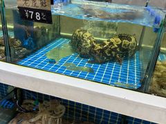 -大众海鲜(巨龙北路店)