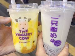 -一只酸奶牛(八一路店)