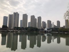 -青枫公园