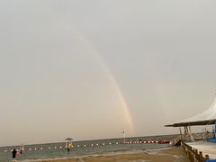 -碧海金沙