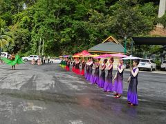 -西双版纳原始森林公园