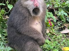 -西岭雪山大飞水景区