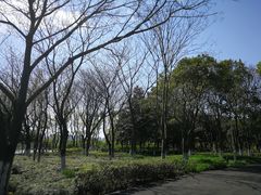 -白塘生态植物园