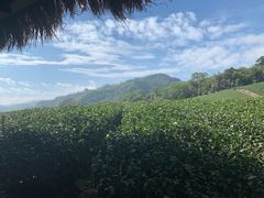 -优游吧斯邹族文化部落