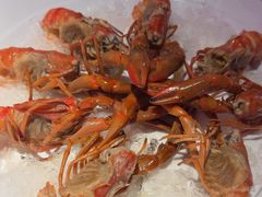 -红盔甲·小龙虾(车公庙店)