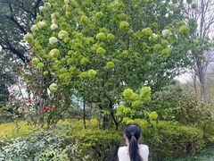 -杭州城北体育公园