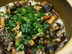 -红星光发煲仔饭(大石街店)