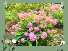 -兰溪青年公园