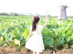 -武汉紫薇都市田园