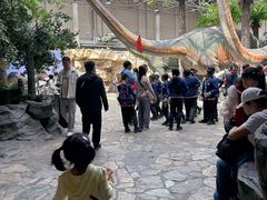 -国家自然博物馆