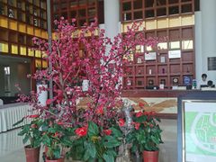 -张家港金凤凰度假村温泉