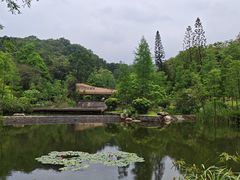-云溪植物园