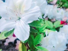 -上海滨江森林公园