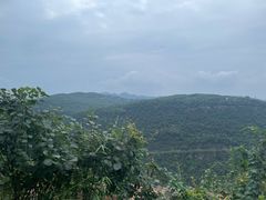 -铁山坪森林公园