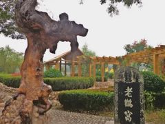 -大槐树寻根祭祖园