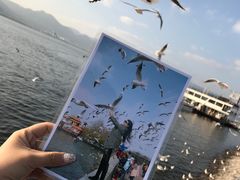 -昆明滇池国家级风景名胜区西山景区