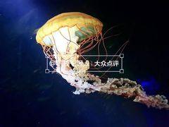 -欢乐海岸海洋奇梦馆