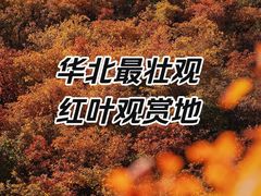 -周口店坡峰岭风景区