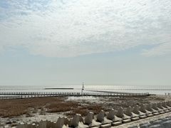 -南汇嘴观海公园