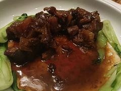 -津城食府