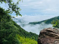 -莫干山风景区