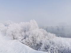 -雾凇岛