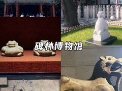 -《驼铃传奇》秀