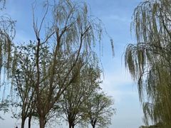 -天津东丽湖风景区