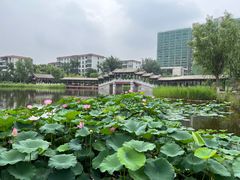 -西海子公园