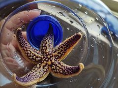 -东戴河风景区-止锚湾