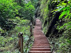 -青城山
