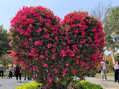 -东莞植物园