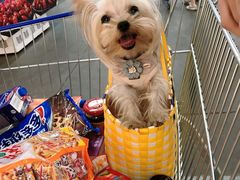 -麦德龙(郑东店)