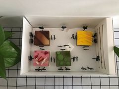 -BLACKSWAN黑天鹅(环球店)