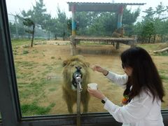 -西霞口神雕山野生动物世界