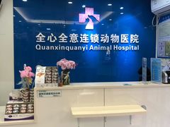 -全心全意连锁动物医院·微创中心·内科急重症·心脏专科(丰管路店)