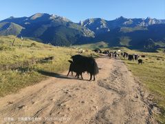 -达仓郎木寺院