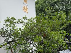 -青桃餐厅