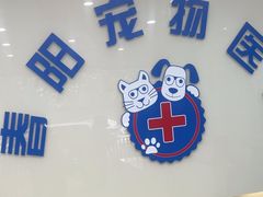 -暖阳宠物医院·犬猫康复中心·骨科