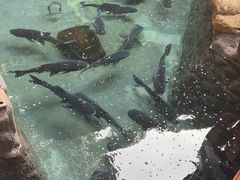 -耕渔小院·湖南鱼鲜(望城店)