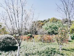 -杭州城北体育公园